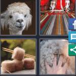 4 Pics 1 Word Level 4579 Answers