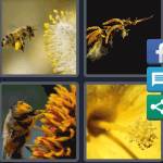 4 Pics 1 Word Level 4587 Answers