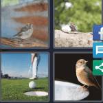 4 Pics 1 Word Level 4592 Answers