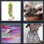 4 Pics 1 Word Level 4661 Answers