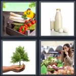 4 Pics 1 Word Level 4669 Answers