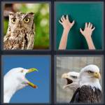 4 Pics 1 Word Level 4737 Answers