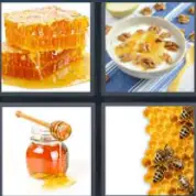 4 Pics 1 word Level 14 Answers