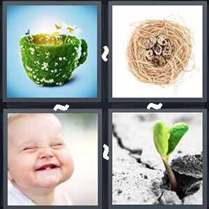 4 Pics 1 word Level 252 Answers