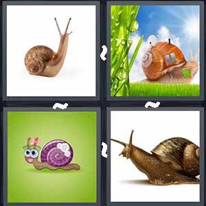 4 Pics 1 word Level 273 Answers