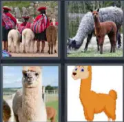 4 Pics 1 word Level 33 Answers