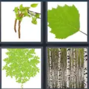 4 Pics 1 word Level 54 Answers