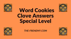 Word Cookies Clove Special Level Answers