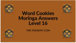 Word Cookies Moringa Level 16 Answers