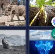 4 Pics 1 Word Level 1398 Answers 2021