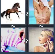 4 Pics 1 Word Level 1587 Answers