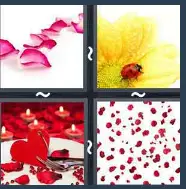 4 Pics 1 Word Level 1602 Answers