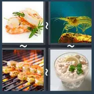 4 Pics 1 Word Level 1626 Answers
