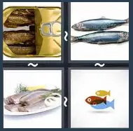 4 Pics 1 Word Level 1677 Answers