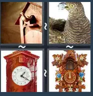 4 Pics 1 Word Level 1701 Answers
