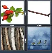 4 Pics 1 Word Level 1856 Answers