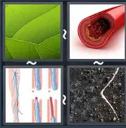4 Pics 1 Word Level 1875 Answers