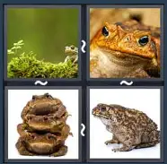 4 Pics 1 Word Level 1877 Answers