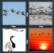 4 Pics 1 Word Level 1879 Answers