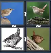 4 Pics 1 Word Level 1910 Answers