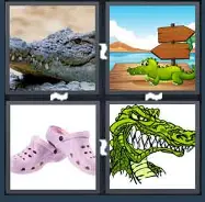 4 Pics 1 Word Level 1917 Answers