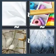 4 Pics 1 Word Level 1930 Answers