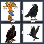 4 Pics 1 Word Level 1941 Answers