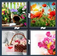 4 Pics 1 Word Level 2003 Answers