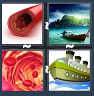 4 Pics 1 Word Level 2028 Answers