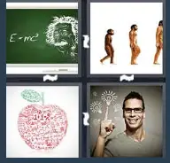 4 Pics 1 Word Level 2033 Answers