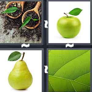 4 Pics 1 Word Level 2078 Answers