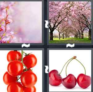 4 Pics 1 Word Level 2097 Answers