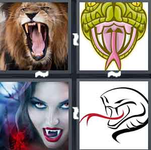 4 Pics 1 Word Level 2120 Answers
