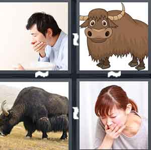 4 Pics 1 Word Level 2142 Answers