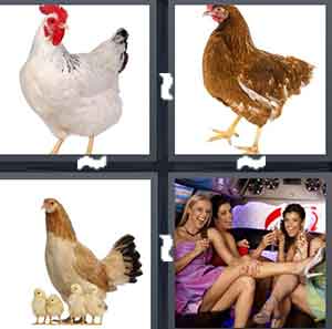 4 Pics 1 Word Level 2152 Answers