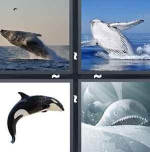 4 Pics 1 Word Level 2181 Answers
