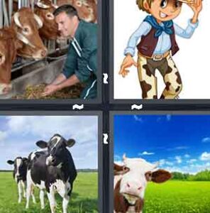 4 Pics 1 Word Level 2186 Answers