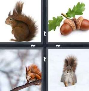 4 Pics 1 Word Level 2187 Answers