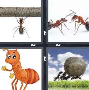 4 Pics 1 Word Level 2189 Answers