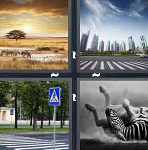 4 Pics 1 Word Level 2203 Answers