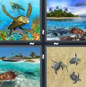 4 Pics 1 Word Level 2204 Answers