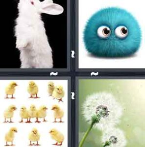 4 Pics 1 Word Level 2219 Answers