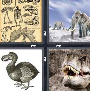 4 Pics 1 Word Level 2267 Answers