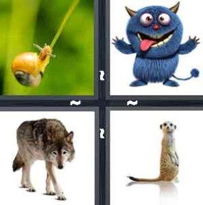 4 Pics 1 Word Level 2339 Answers