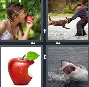 4 Pics 1 Word Level 2405 Answers