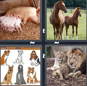4 Pics 1 Word Level 2476 Answers