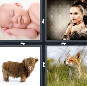 4 Pics 1 Word Level 2590 Answers