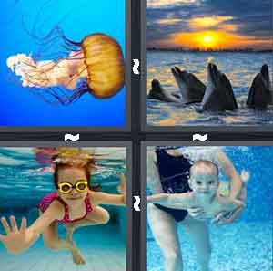 4 Pics 1 Word Level 2611 Answers