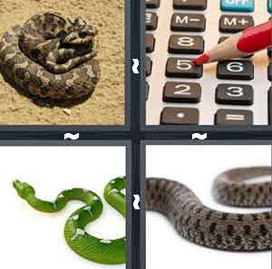 4 Pics 1 Word Level 2631 Answers