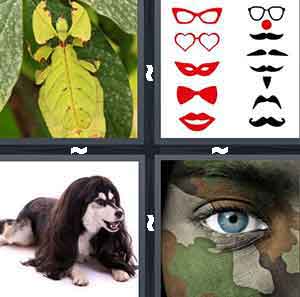 4 Pics 1 Word Level 2791 Answers